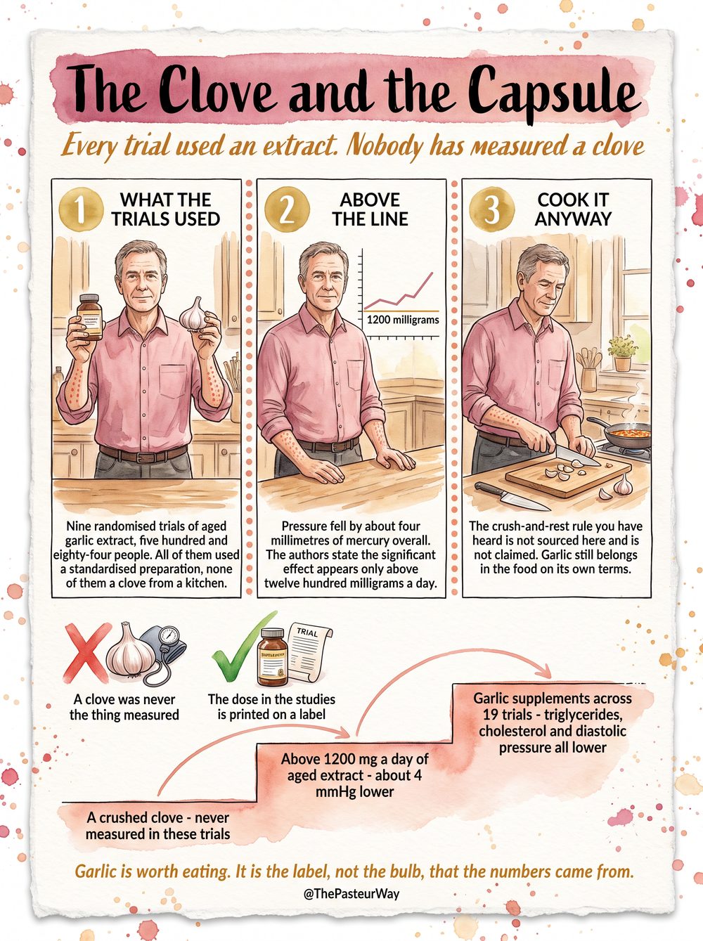 Garlic — the kitchen page