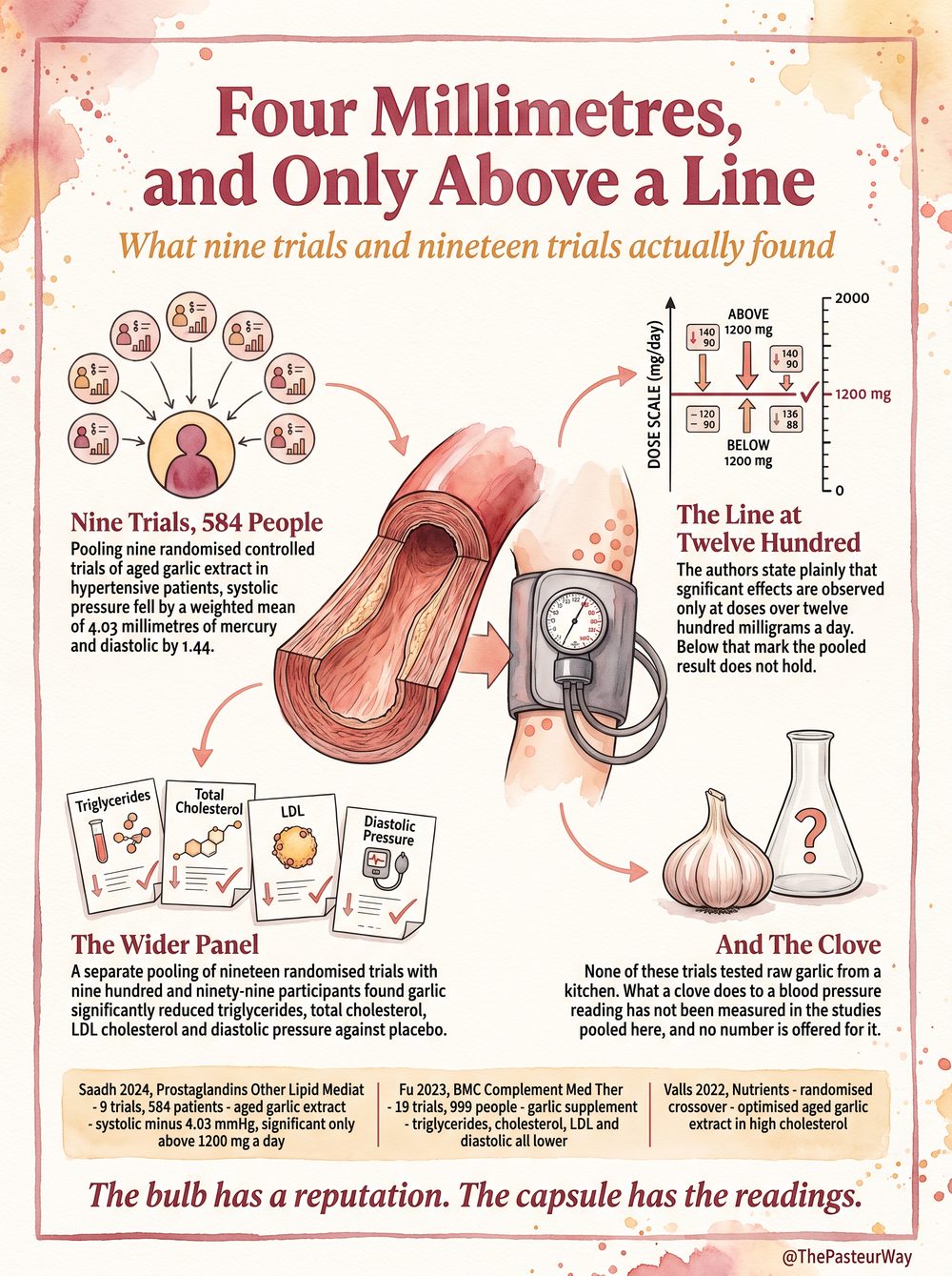 Garlic — the evidence page